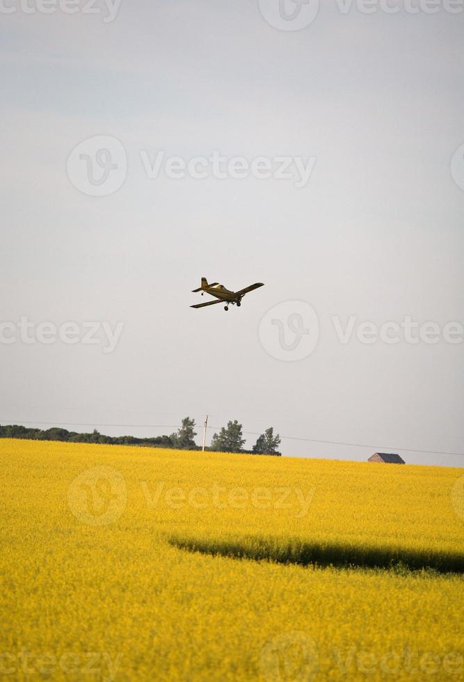 aereo cropduster che fa girare per spruzzare un campo del saskatchewan foto