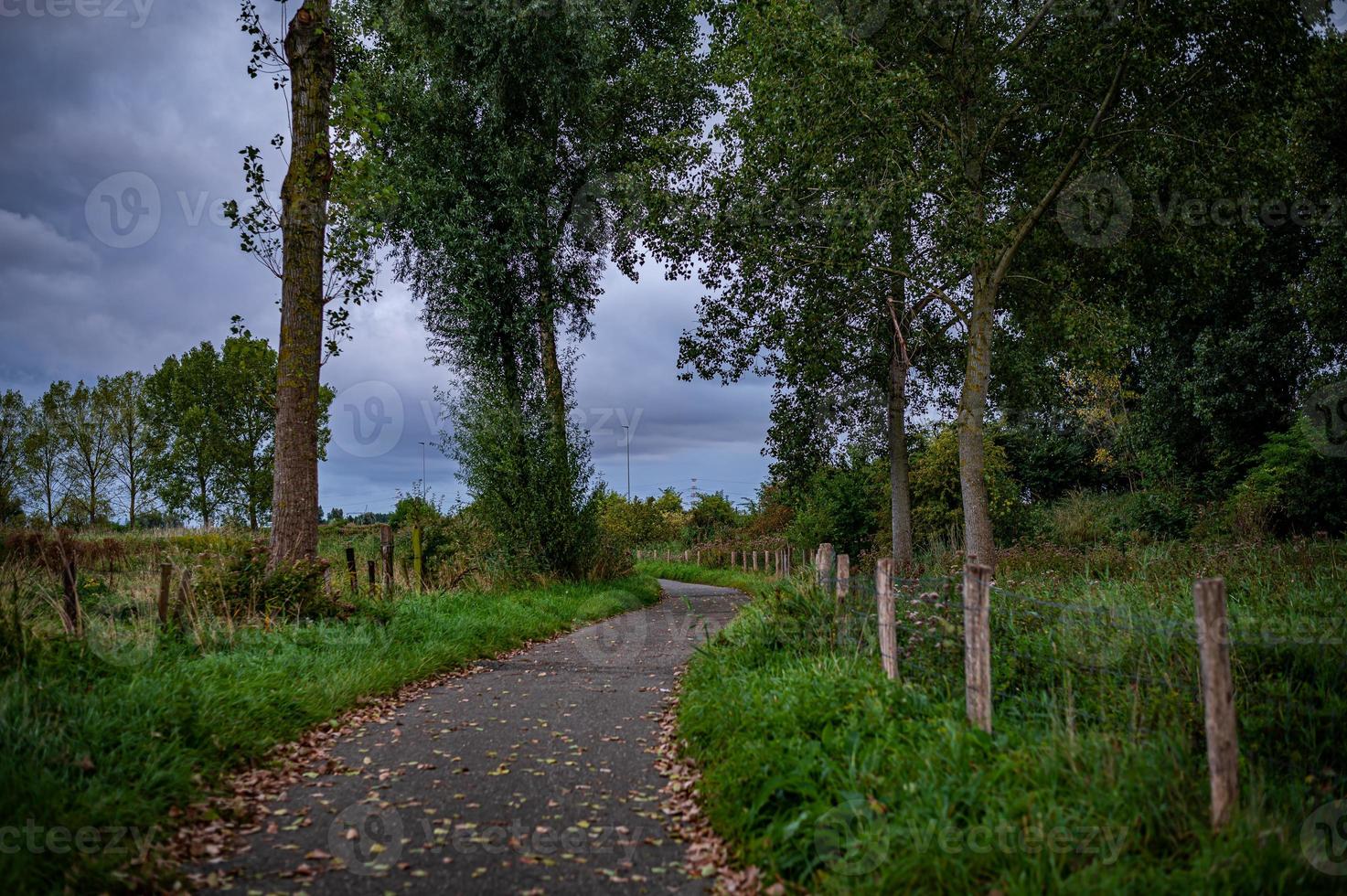 strada di campagna in una giornata nuvolosa foto