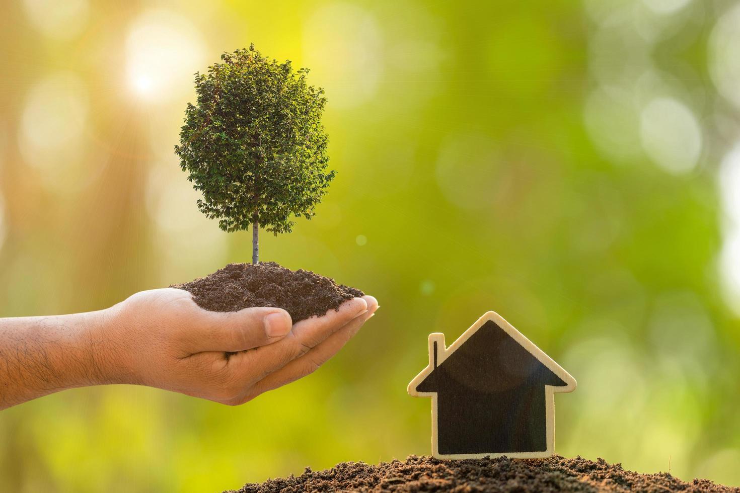 primo piano mano che tiene terreno e albero tropicale e simbolo della casa in legno sulla sfocatura del giardino verde foto