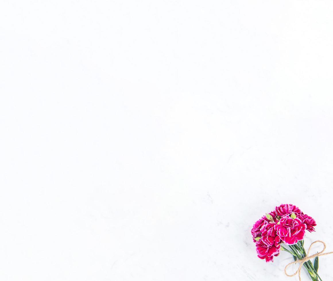 Fotografia della festa della mamma di maggio - bellissimo mazzo di garofani in fiore legato con fiocco isolato su un tavolo moderno e luminoso, spazio per la copia, distesi, vista dall'alto, vuoto per il testo foto