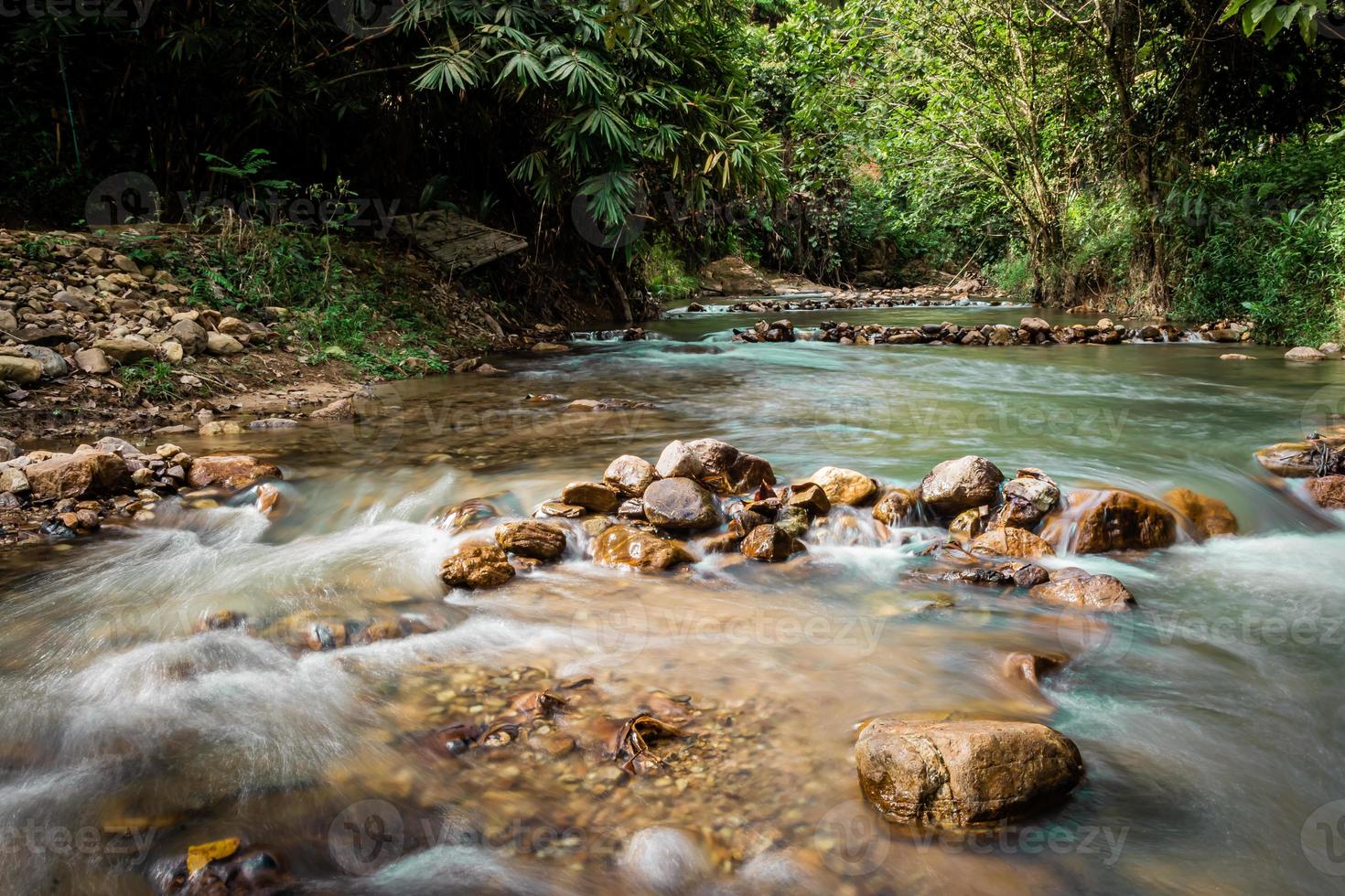 piccolo ruscello nella foresta verde yala thailandia foto