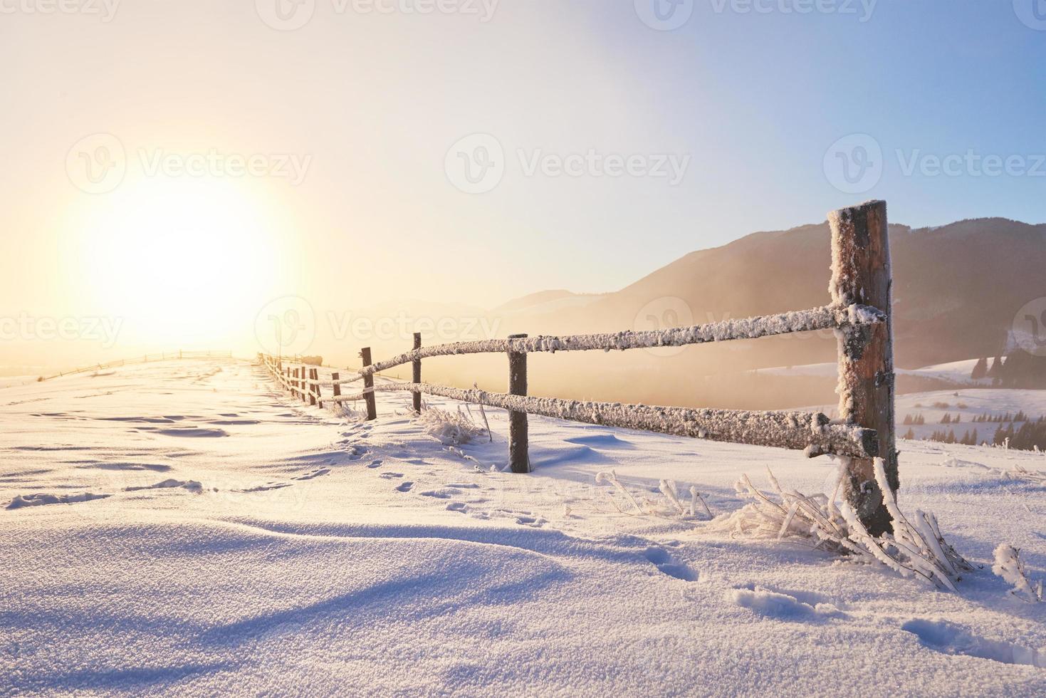 misterioso paesaggio invernale montagne maestose in inverno. magico albero innevato d'inverno. biglietto di auguri con foto. carpatico. Ucraina foto