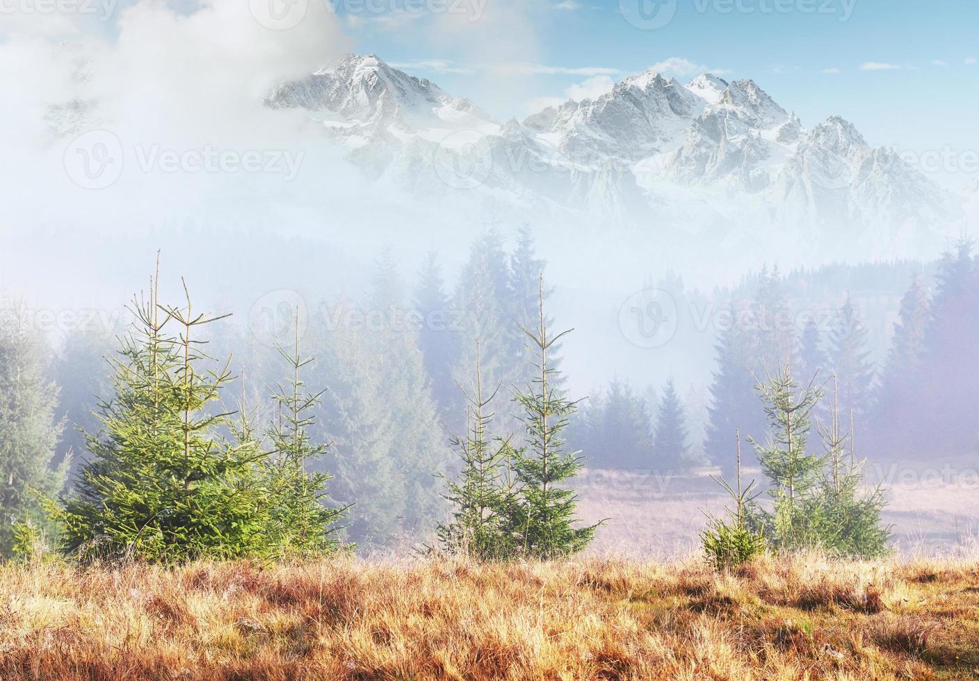 la nebbia mattutina si insinua con frammenti sulla foresta di montagna autunnale ricoperta di foglie d'oro. cime innevate di maestose montagne sullo sfondo foto