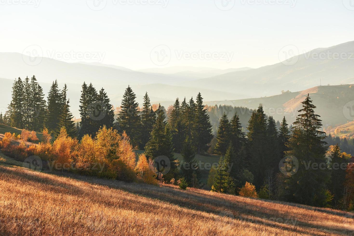 il paesaggio autunnale di montagna con foresta colorata foto