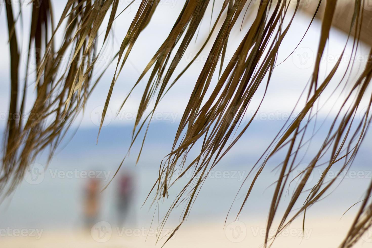 spiaggia esotica sulla spiaggia con ombrellone. un solitario ombrellone vuoto fatto di canne. bellissimi rami secchi di palme sul tetto sullo sfondo della spiaggia. foto