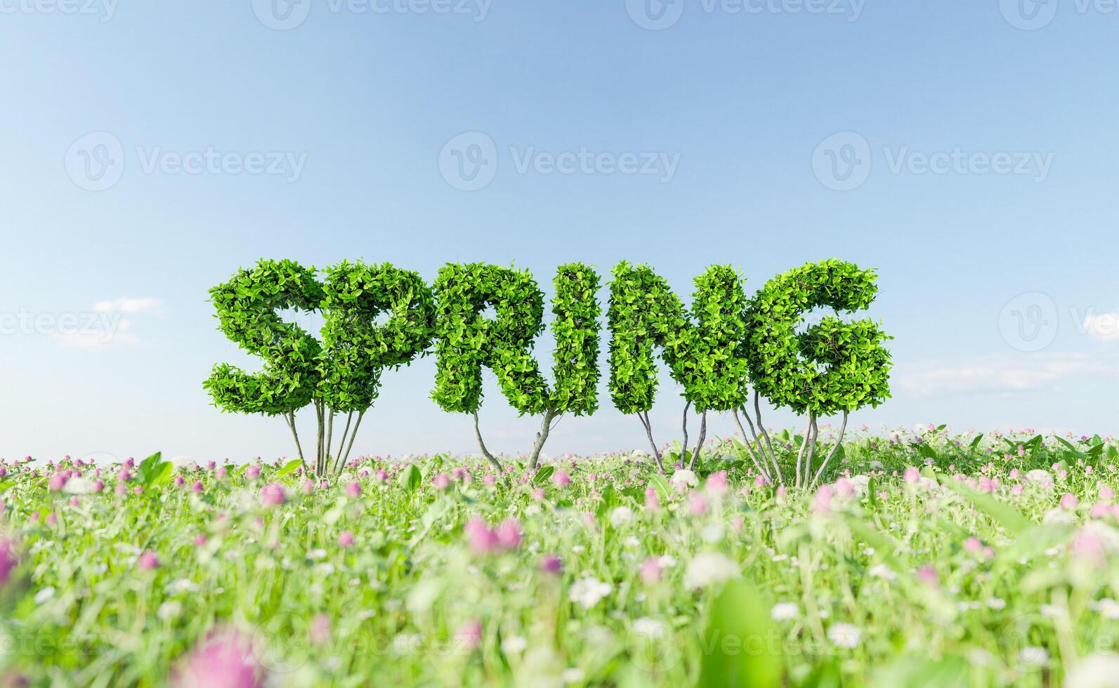 segno di cespuglio con la parola primavera in un prato foto