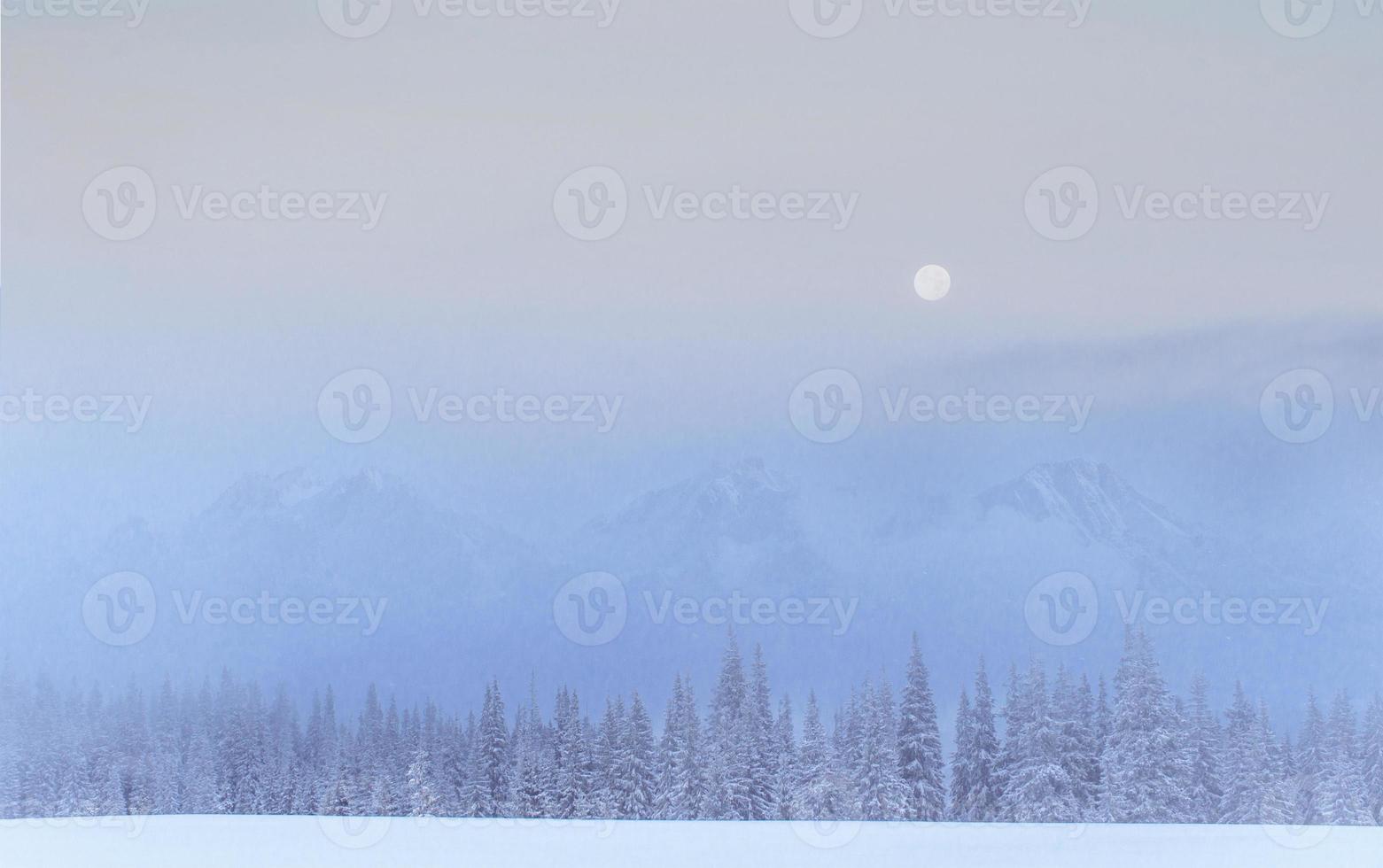 misterioso paesaggio invernale montagne maestose in inverno. bella nebbia fitta. magico albero innevato d'inverno. carte fotografiche. bokeh effetto luce, filtro morbido. carpatico. Ucraina. foto