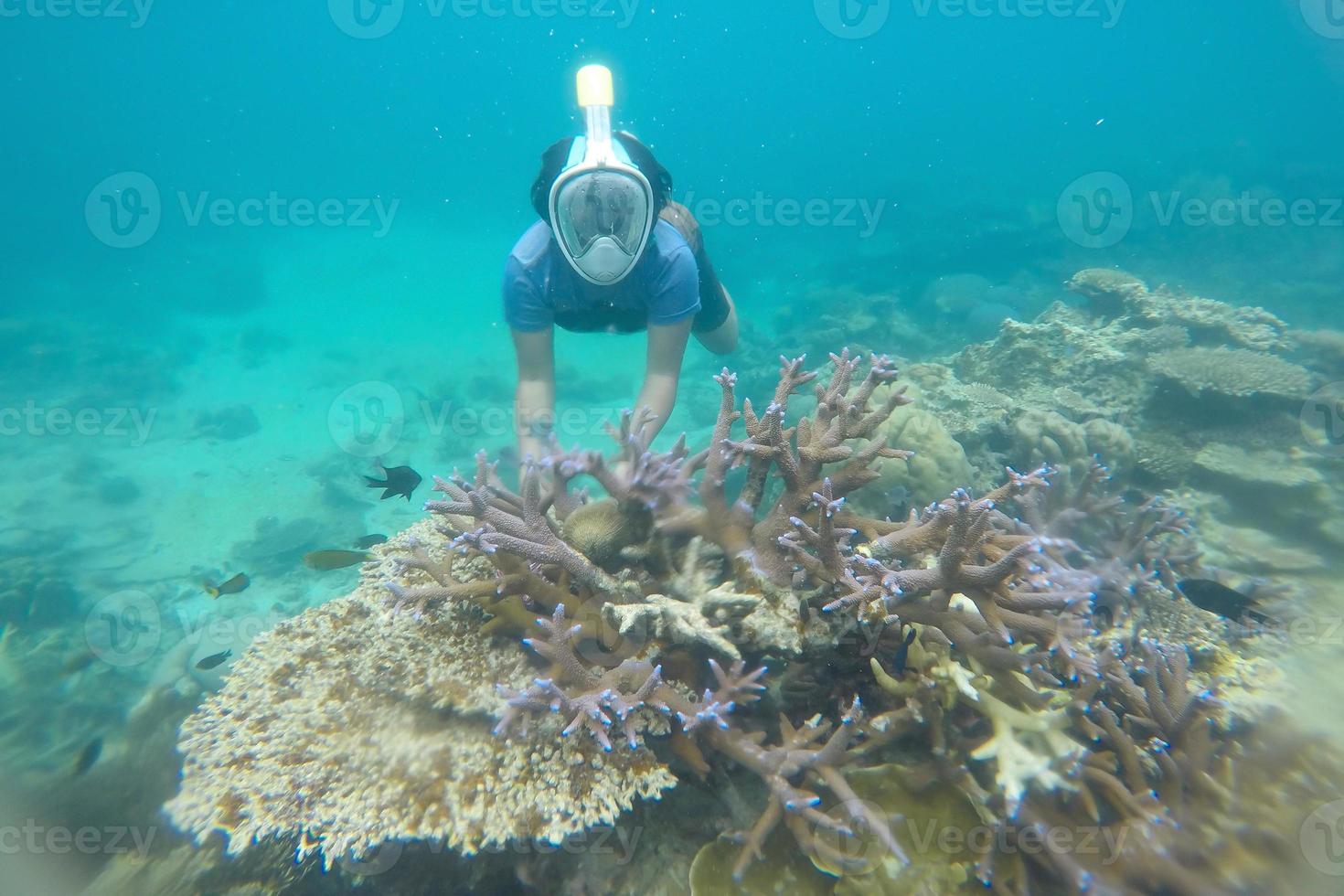 uomo che si tuffa e si gode la vista subacquea della barriera corallina dell'isola di karimun jawa foto