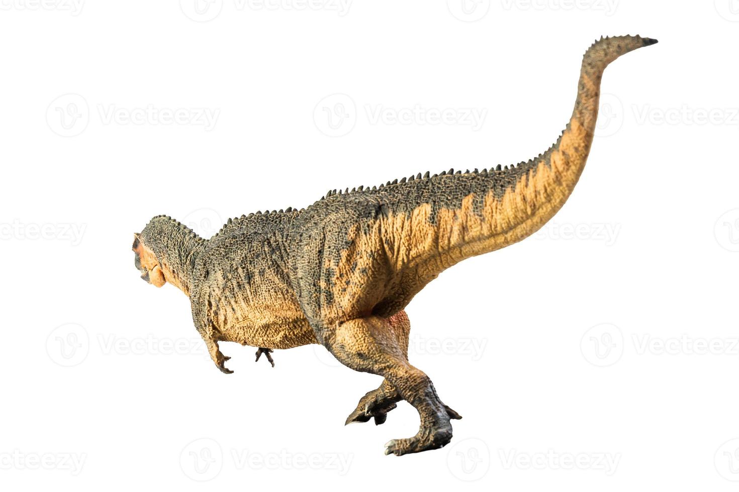 giganotosaurus, dinosauro su sfondo bianco. foto