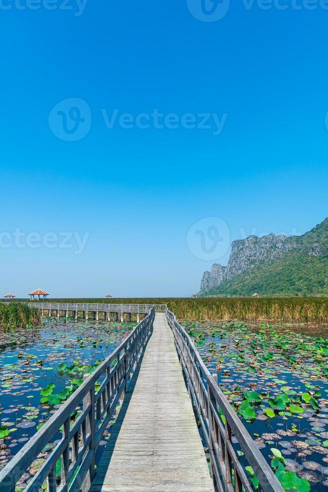 Sam Roi Yot palude di acqua dolce o bueng bua khao Sam Roi Yot National Park foto