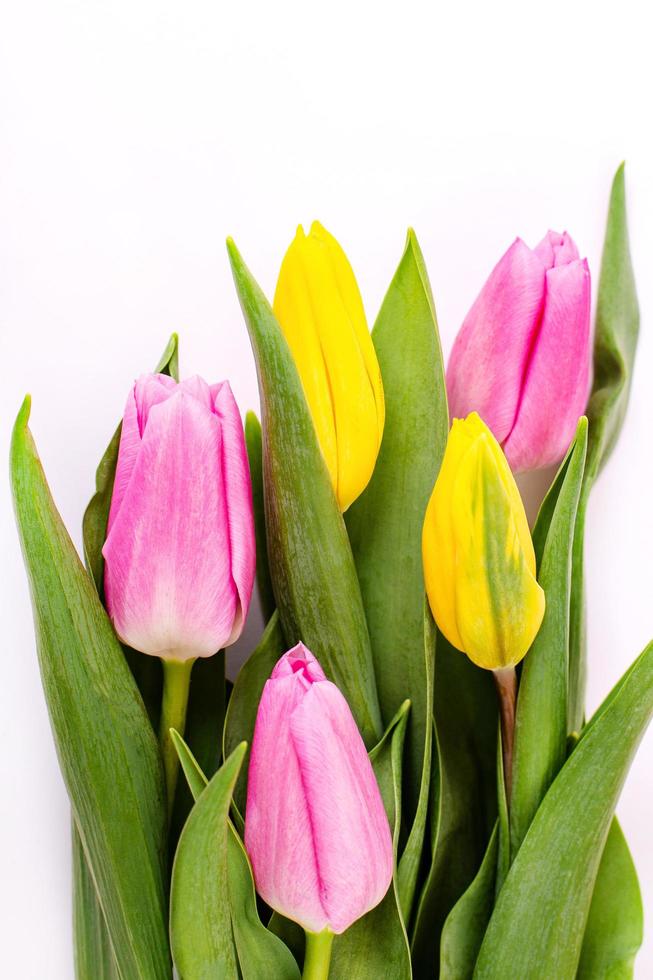 bouquet di tulipani gialli e rosa isolati su sfondo bianco con tracciato di ritaglio. sfondo di san valentino e festa della mamma. foto