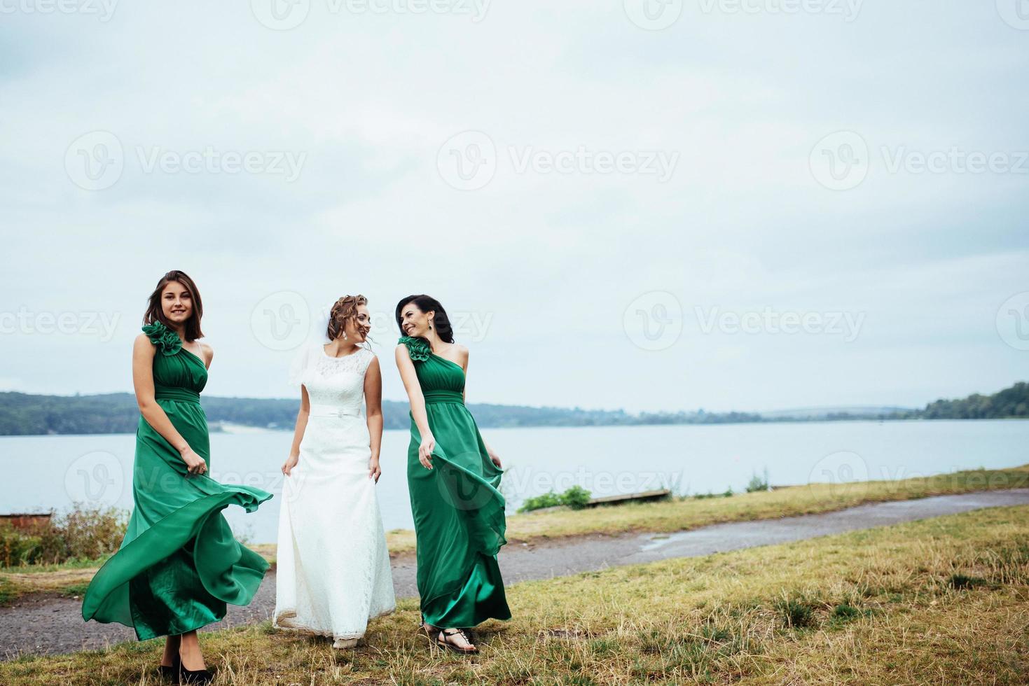 gruppo sposa matrimonio estate all'aperto. ucraina europa foto