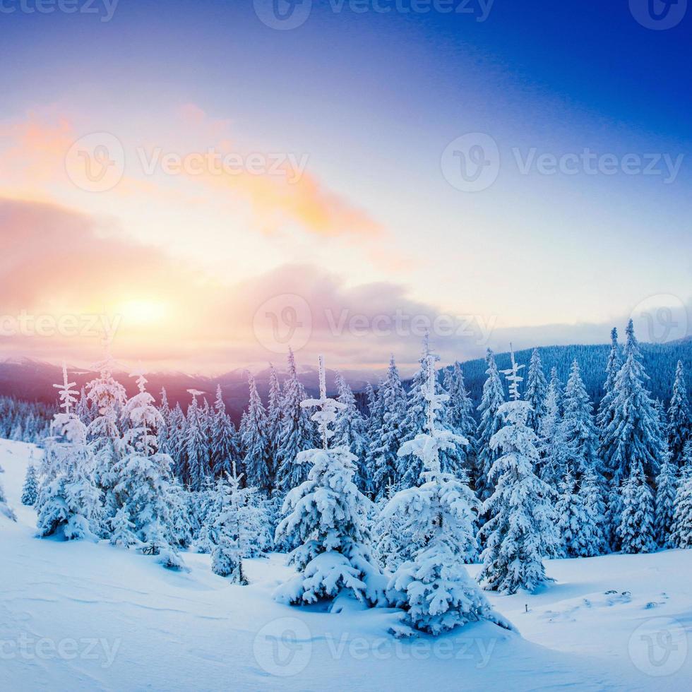 fantastico paesaggio invernale e sentiero consumato che porta al monte foto