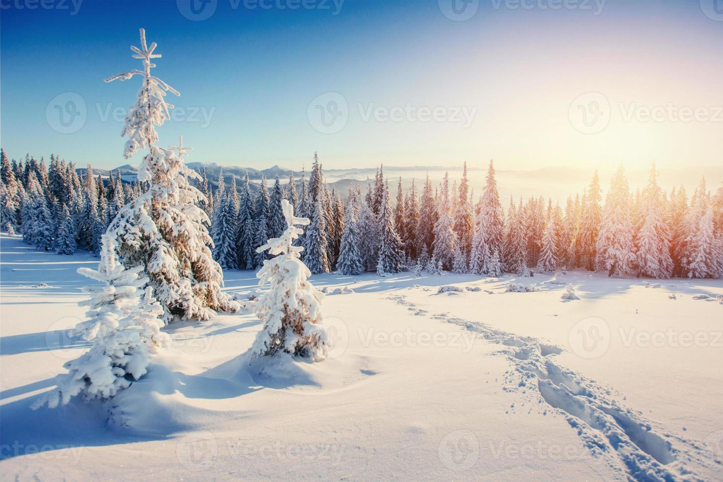 fantastico paesaggio invernale e sentiero consumato che porta al monte foto