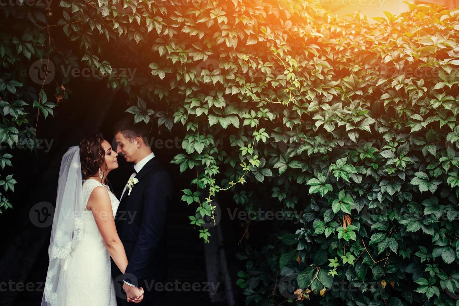 bella giovane coppia di sposi che si baciano, sposa bionda con fiore foto