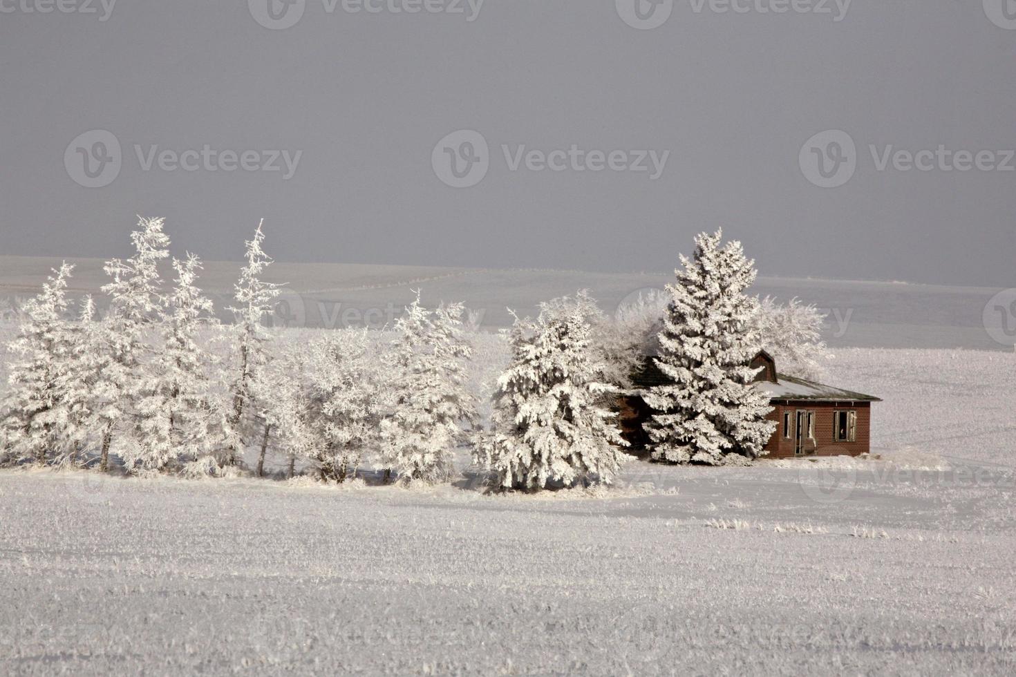 una gelida giornata di campagna foto