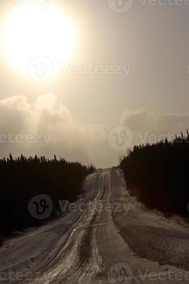 strada forestale in inverno foto