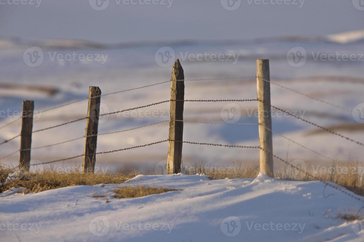 recinzione della prateria in inverno foto