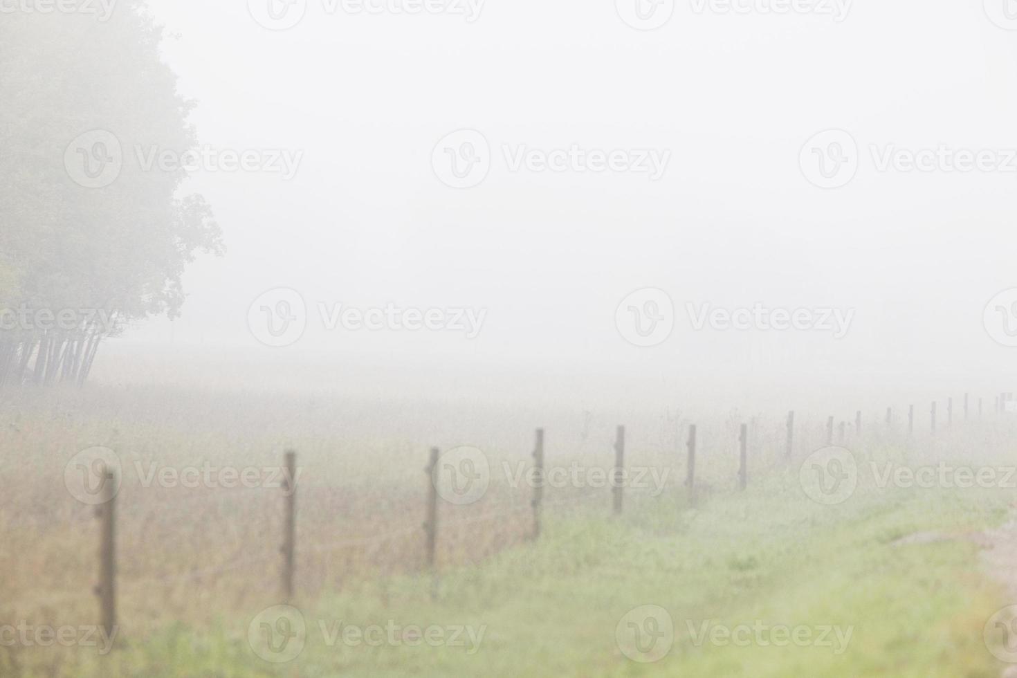 nebbia nebbia lungo la recinzione canada foto