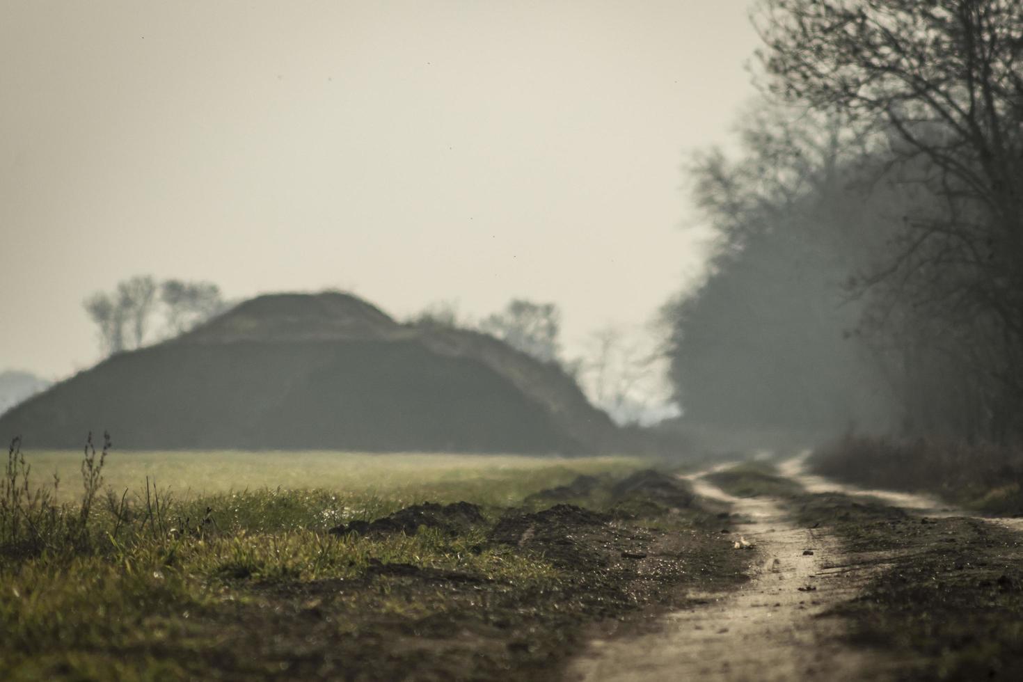 strada nel campo e il sole in primavera foto