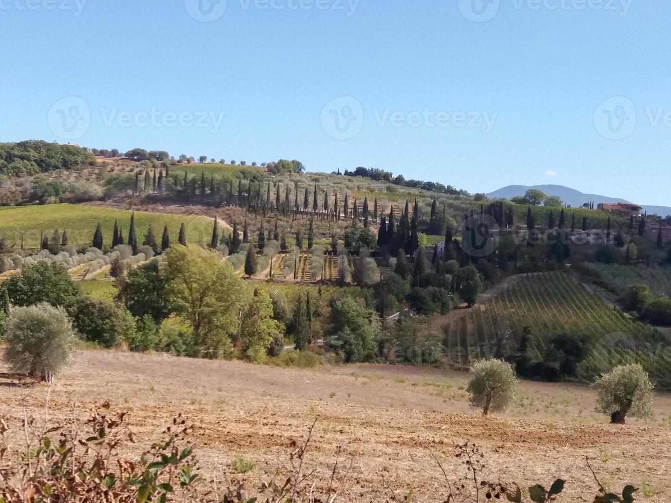 campi dell'abbazia di sant antimo a montalcino foto