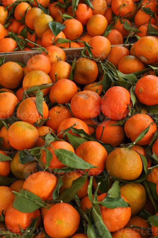 frutto di mandarino arancione foto