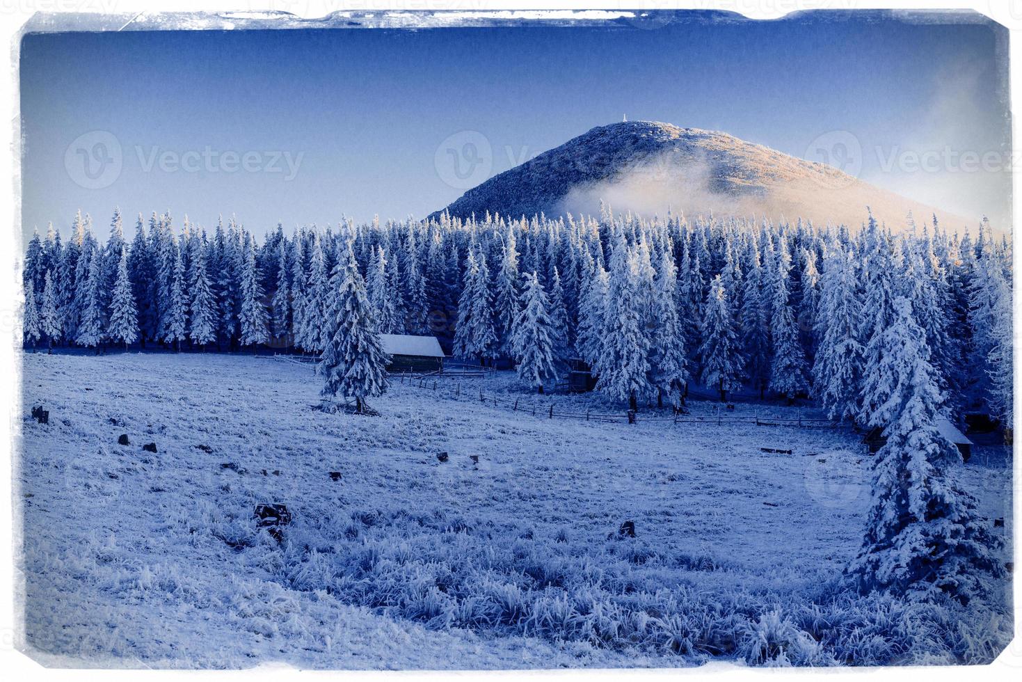 paesaggio invernale con neve nelle montagne dei Carpazi, Ucraina. vi foto