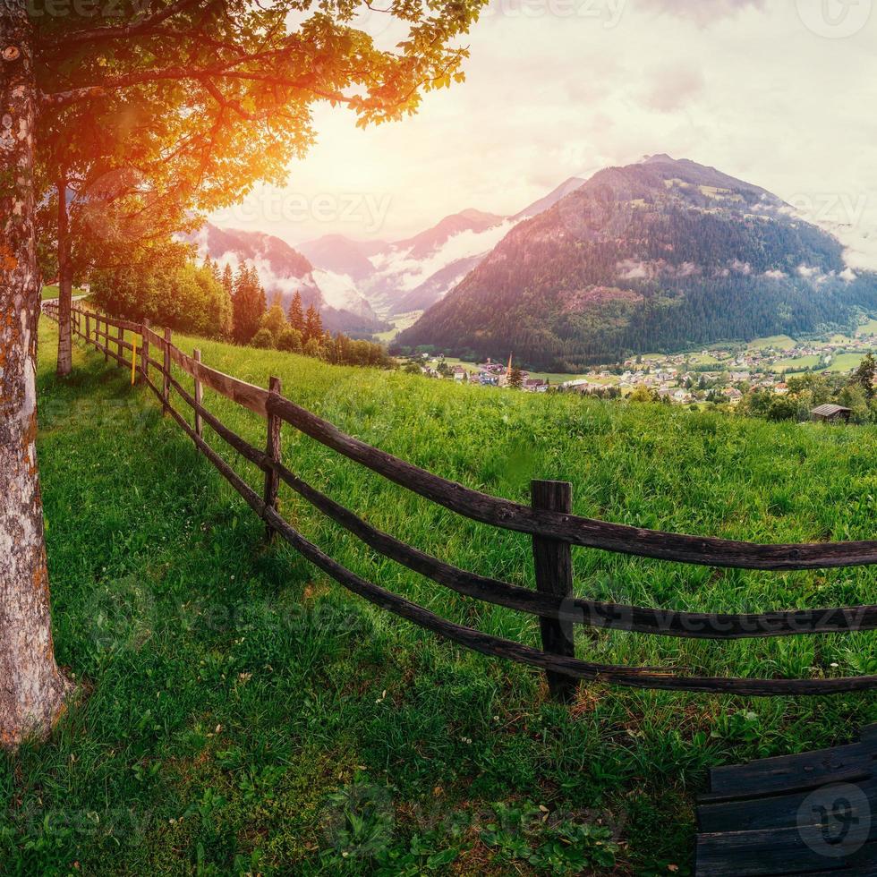 magnifica vista sulle alpi foto