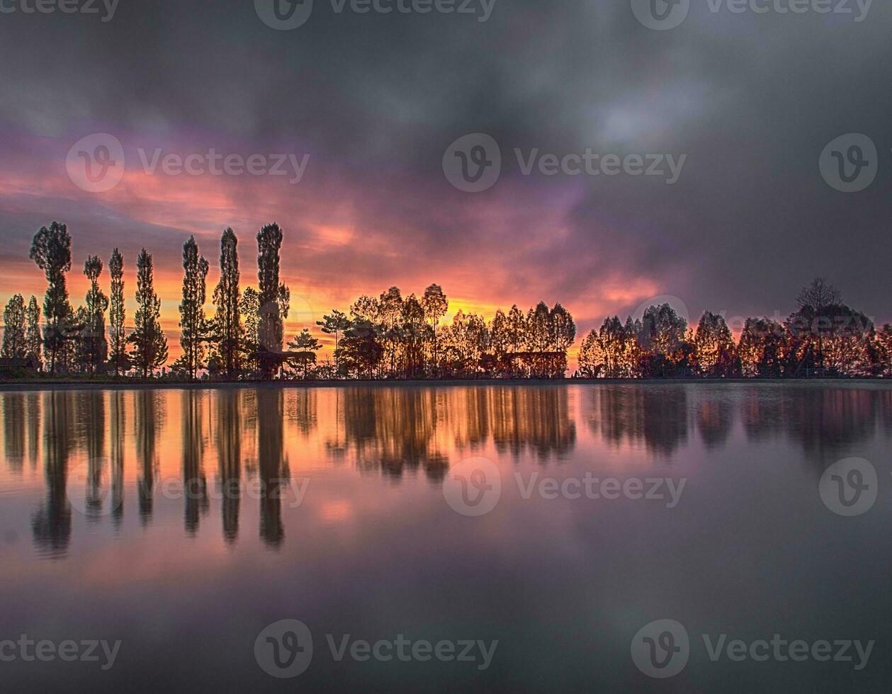 perfetto paesaggio di riflessione della natura su splendidi alberi con cielo colorato all'alba. foto