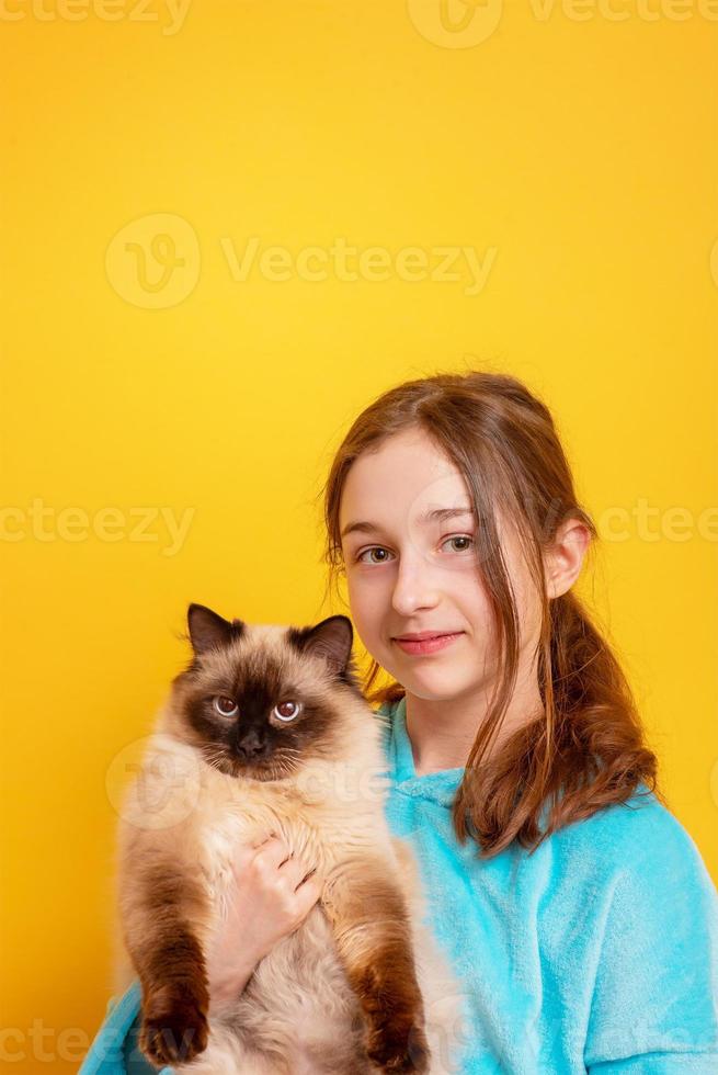 ragazza adolescente con un gatto in braccio. ragazza in una felpa con cappuccio blu su sfondo giallo. foto