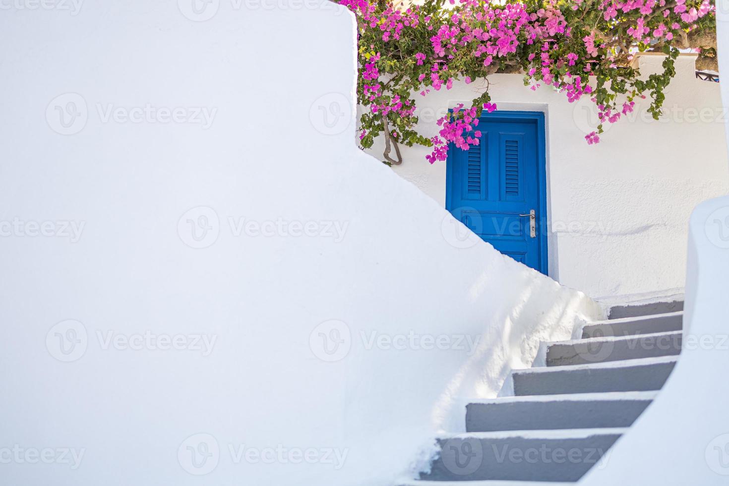 vecchia porta blu e fiori rosa, architettura greca tradizionale, isola di santorini, grecia. strada romantica panoramica di oia, santorini, case bianche porta blu. vacanze di viaggio di sfondo artistico di belle arti foto