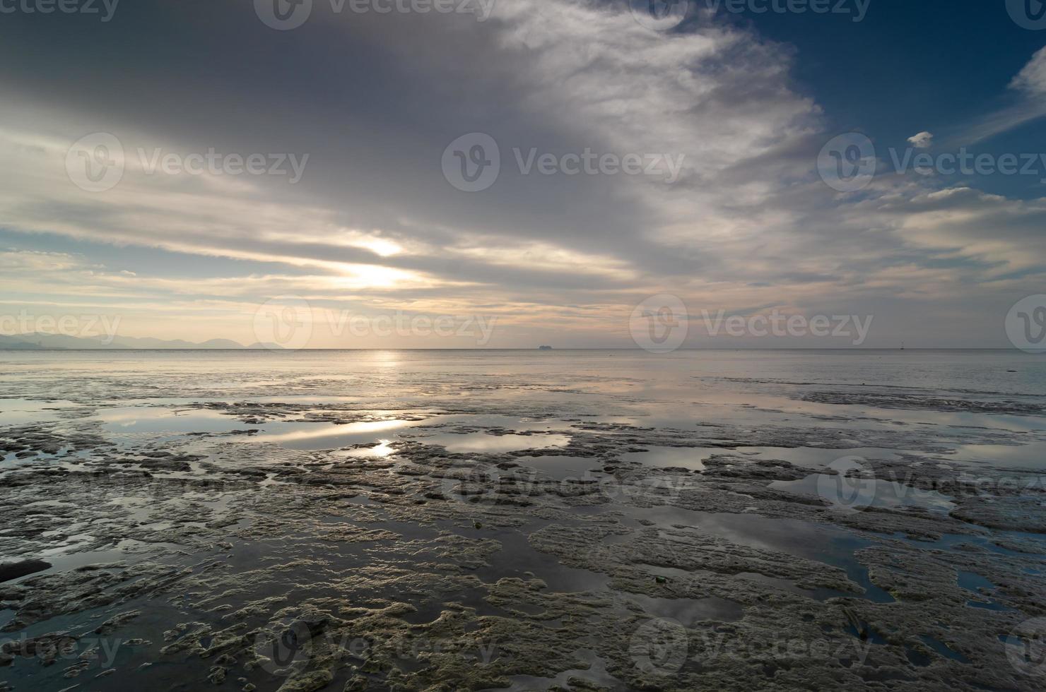 mare terra fangosa costiera foto