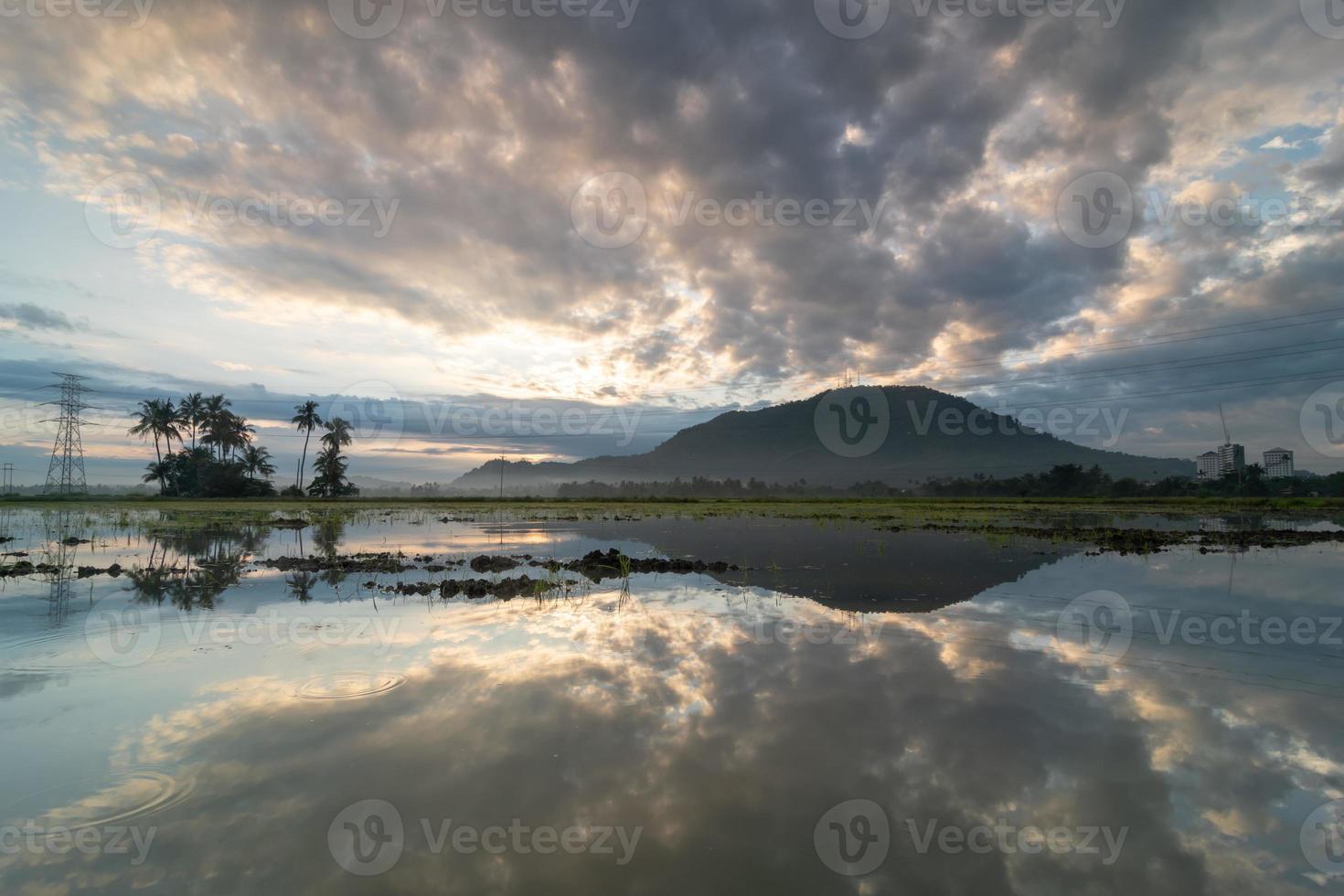 riflesso dell'alba vicino alla noce di cocco foto