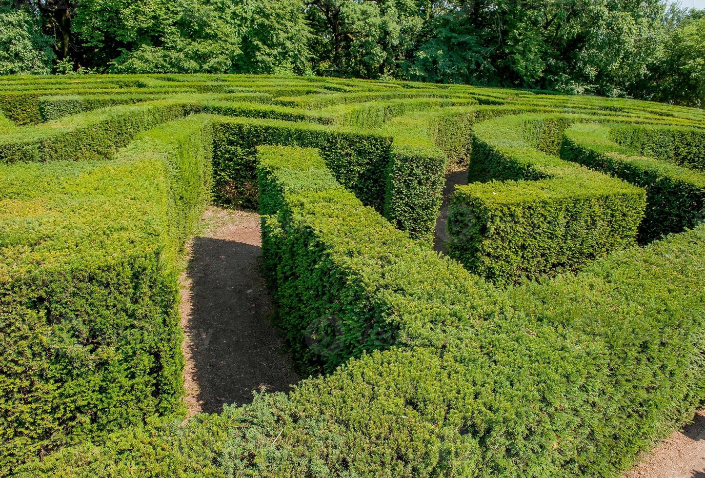 labirinto nel giardino botanico foto