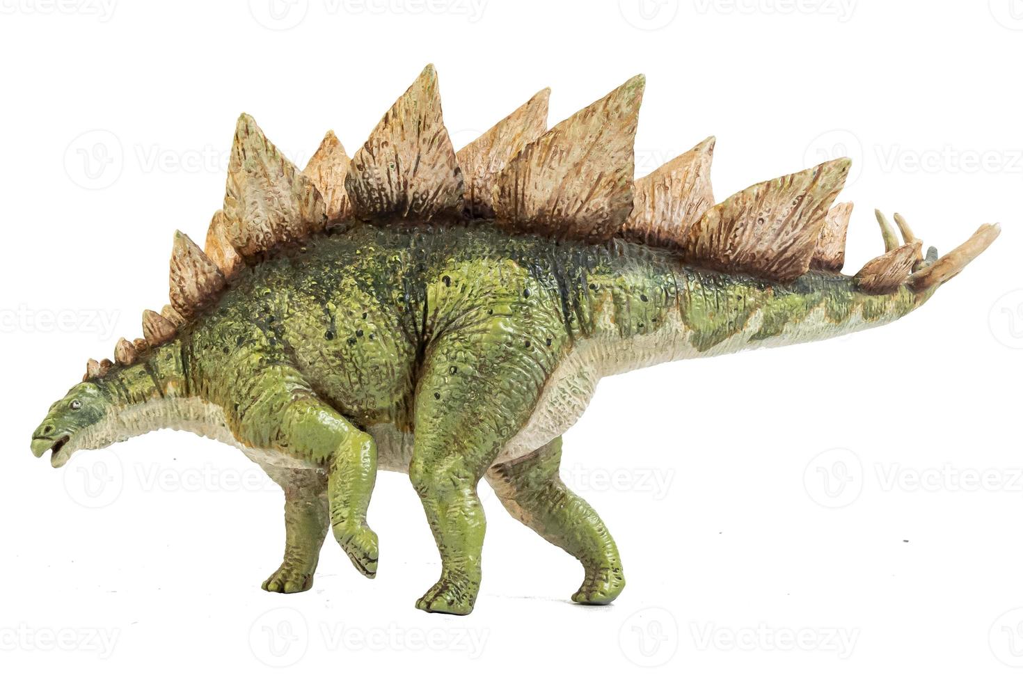 dinosauro stegosauro su sfondo isolato. foto