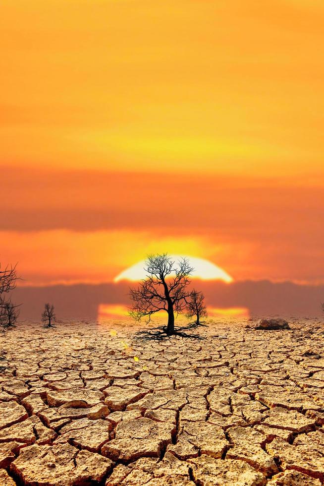 siccità ambientale e riscaldamento globale foto