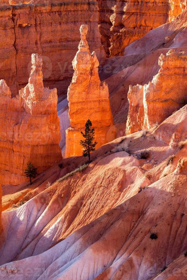 vista panoramica del Bryce Canyon foto