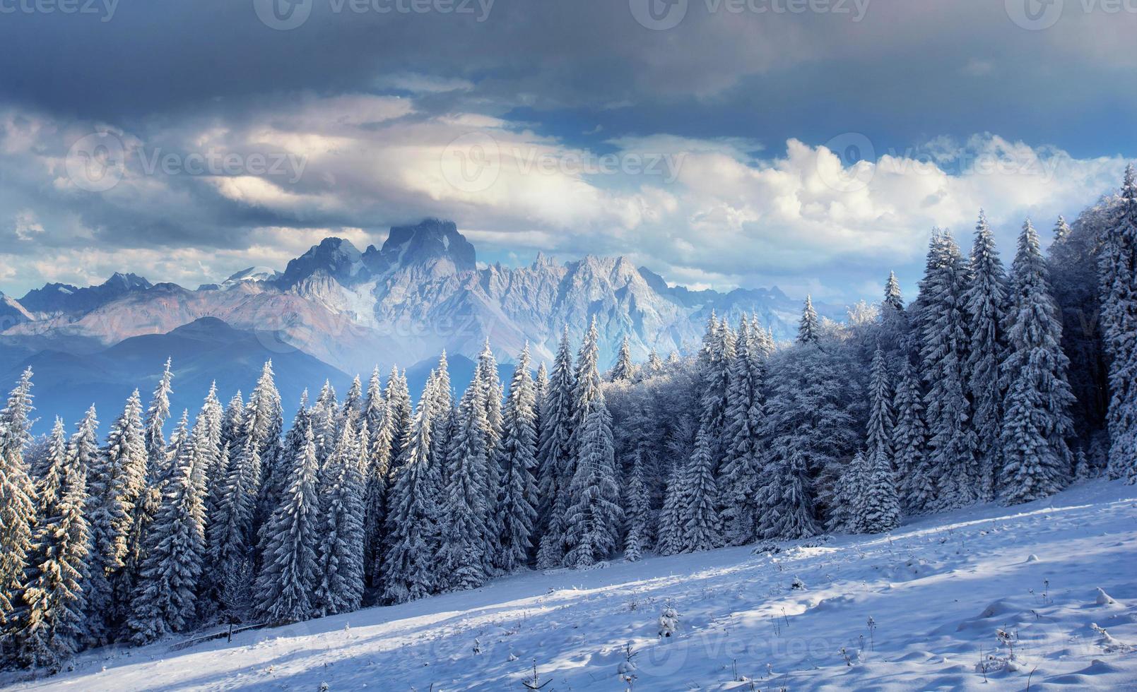 misterioso paesaggio invernale montagne maestose foto