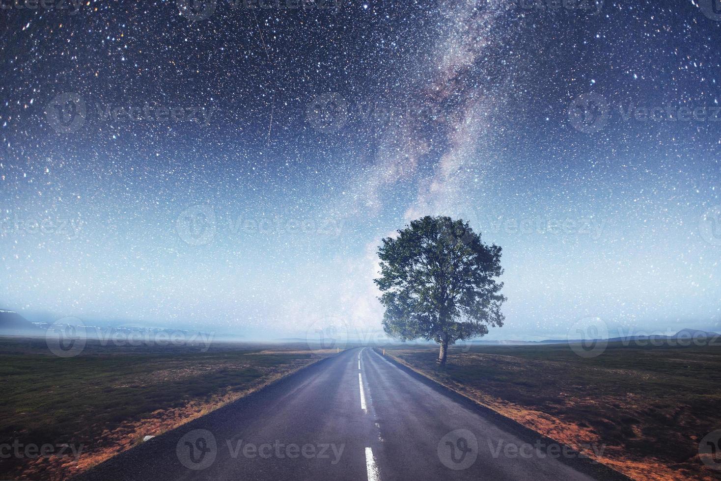 strada asfaltata e albero solitario sotto un cielo stellato foto