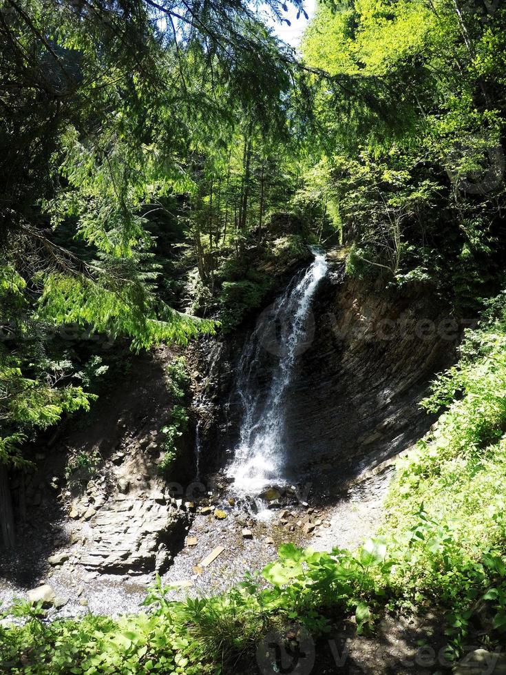 cascata. cascata di montagna nel parco foto