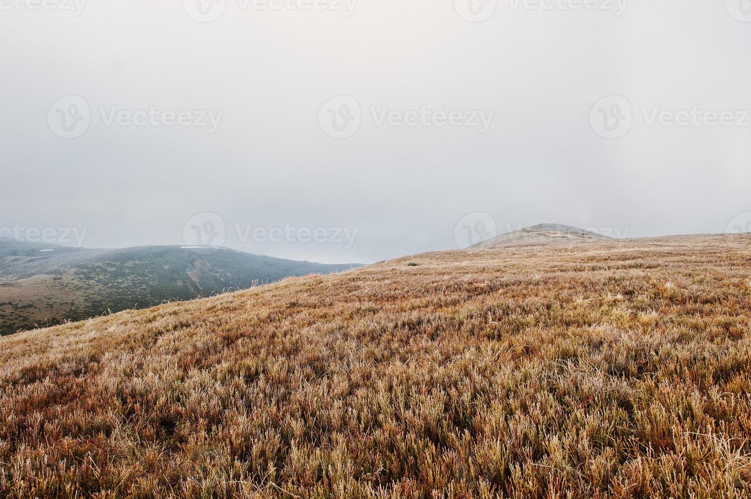 grandi colline al mattino ghiacciato sulla nebbia sulle montagne dei Carpazi foto