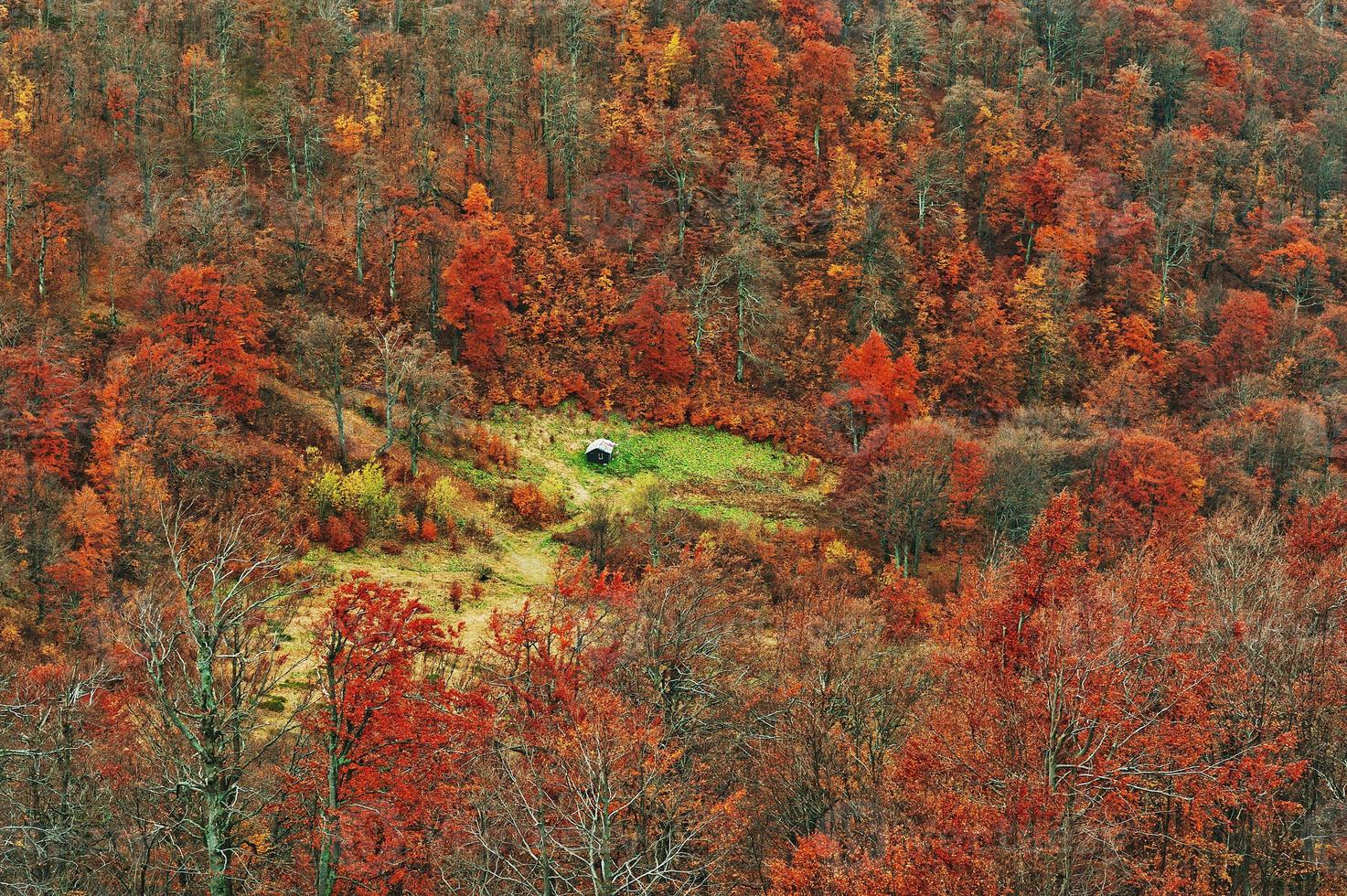 cottage solitario nelle montagne rosse dei Carpazi autunnali foto