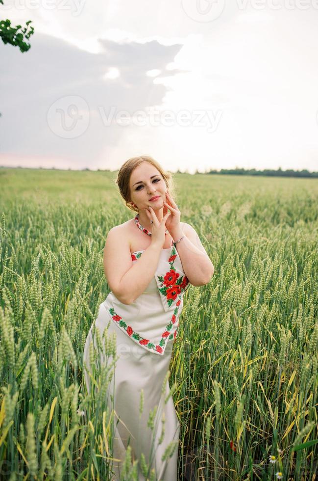 giovane ragazza in abito nazionale ucraino poste al campo di ghirlande. foto