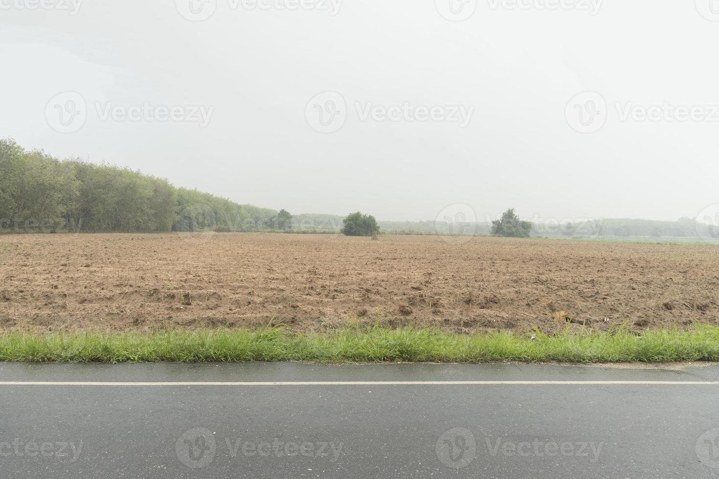 vista orizzontale della strada asfaltata bagnata in Thailandia. ambiente di tempo piovoso. sfondo della semina della piantagione di manioca. e alberi della gomma lontano. sotto il cielo scuro. foto