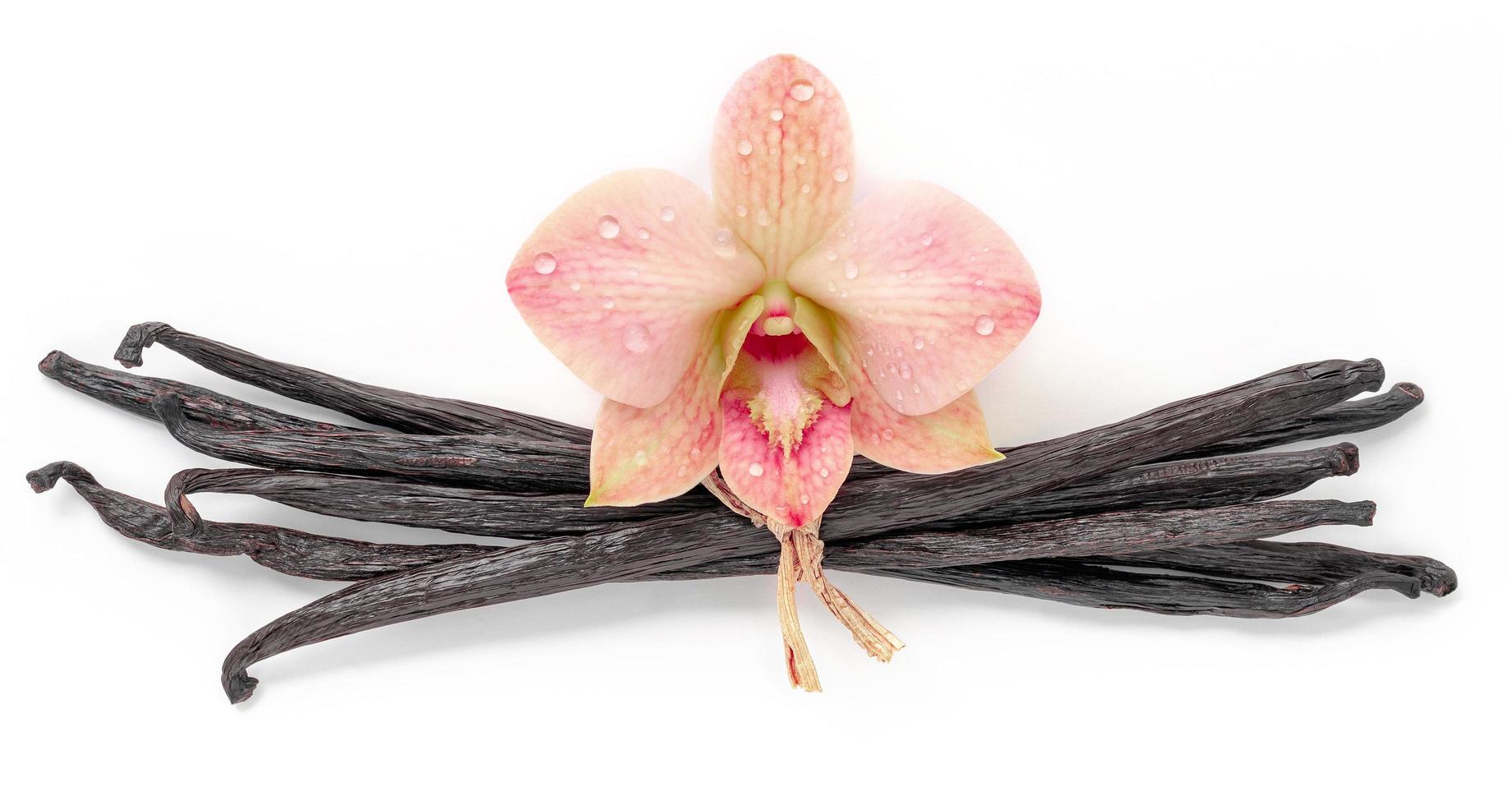 bastoncini di vaniglia secchi e fiori di orchidea isolati su sfondo bianco. foto