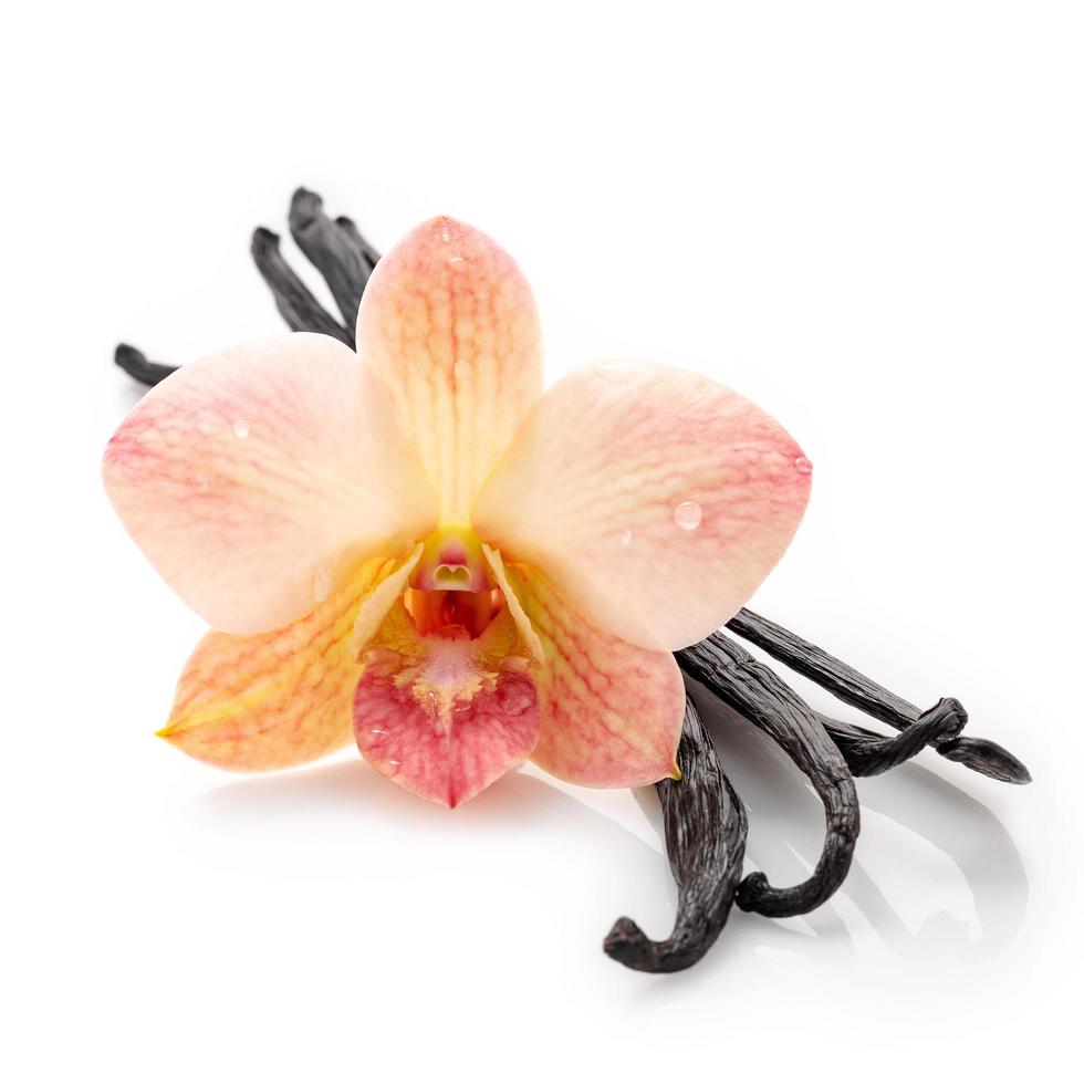 bastoncini di vaniglia secchi e fiori di orchidea isolati su sfondo bianco. foto