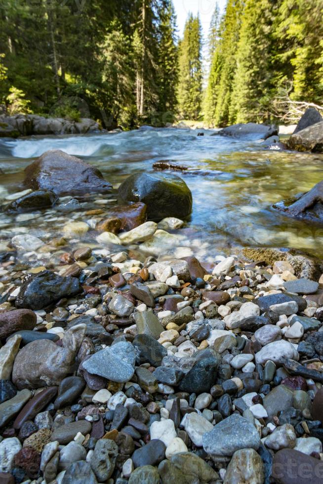 Vista sul fiume o sul torrente nel parco naturale di paneveggio pale di san martino in tonadico, trentino, italia foto