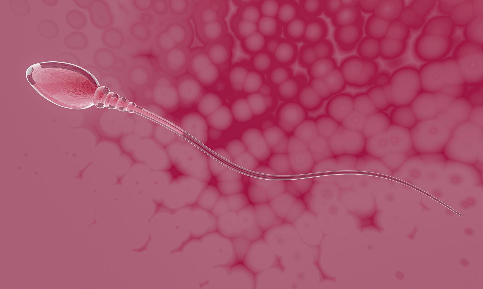 da vicino simula lo sperma per la riproduzione umana la sua testa è snella, ovale e ha una lunga coda, pelle chiara, nucleo visibile. rendering 3D foto