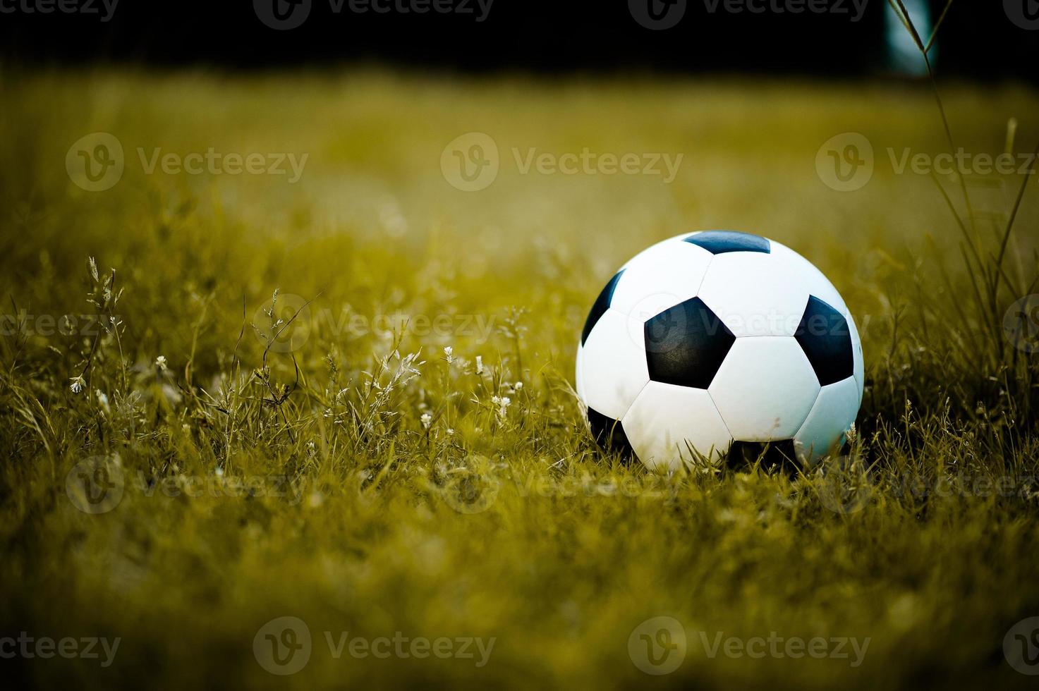 palla sul prato in un campo giallo sul campo di calcio pronto per la punizione. e inizia attivamente il calcio foto