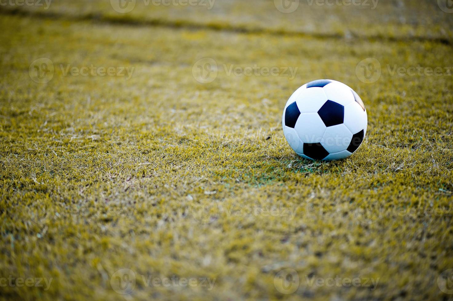 palla sul prato in un campo giallo sul campo di calcio pronto per la punizione. e inizia attivamente il calcio foto